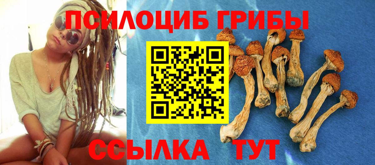 Псилоцибиновые грибы Cubensis Коркино