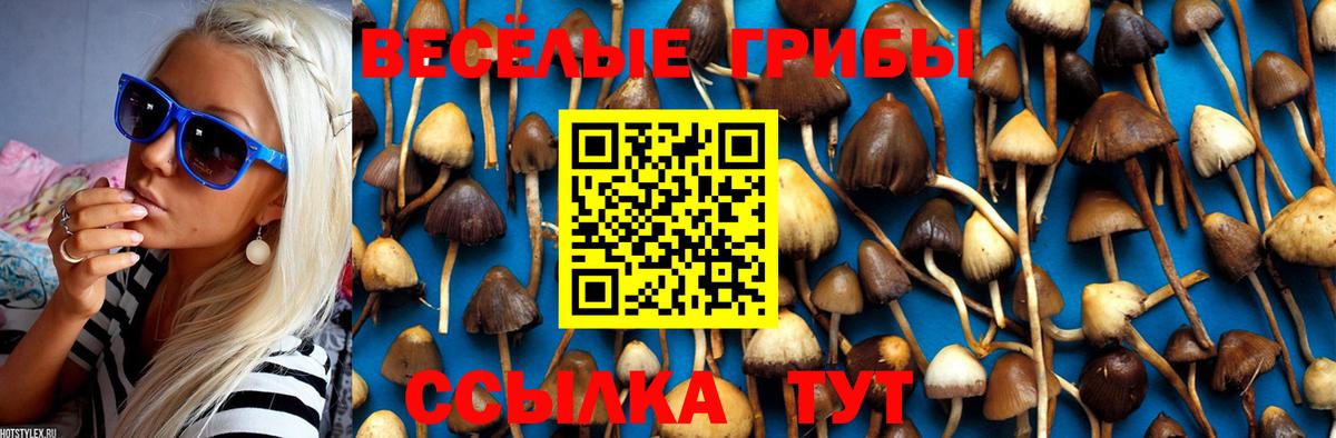Псилоцибиновые грибы ЛСД  Вход с VPN  Псилоцибиновые грибы GOLDEN TEACHER  где можно купить наркотик  Коркино 